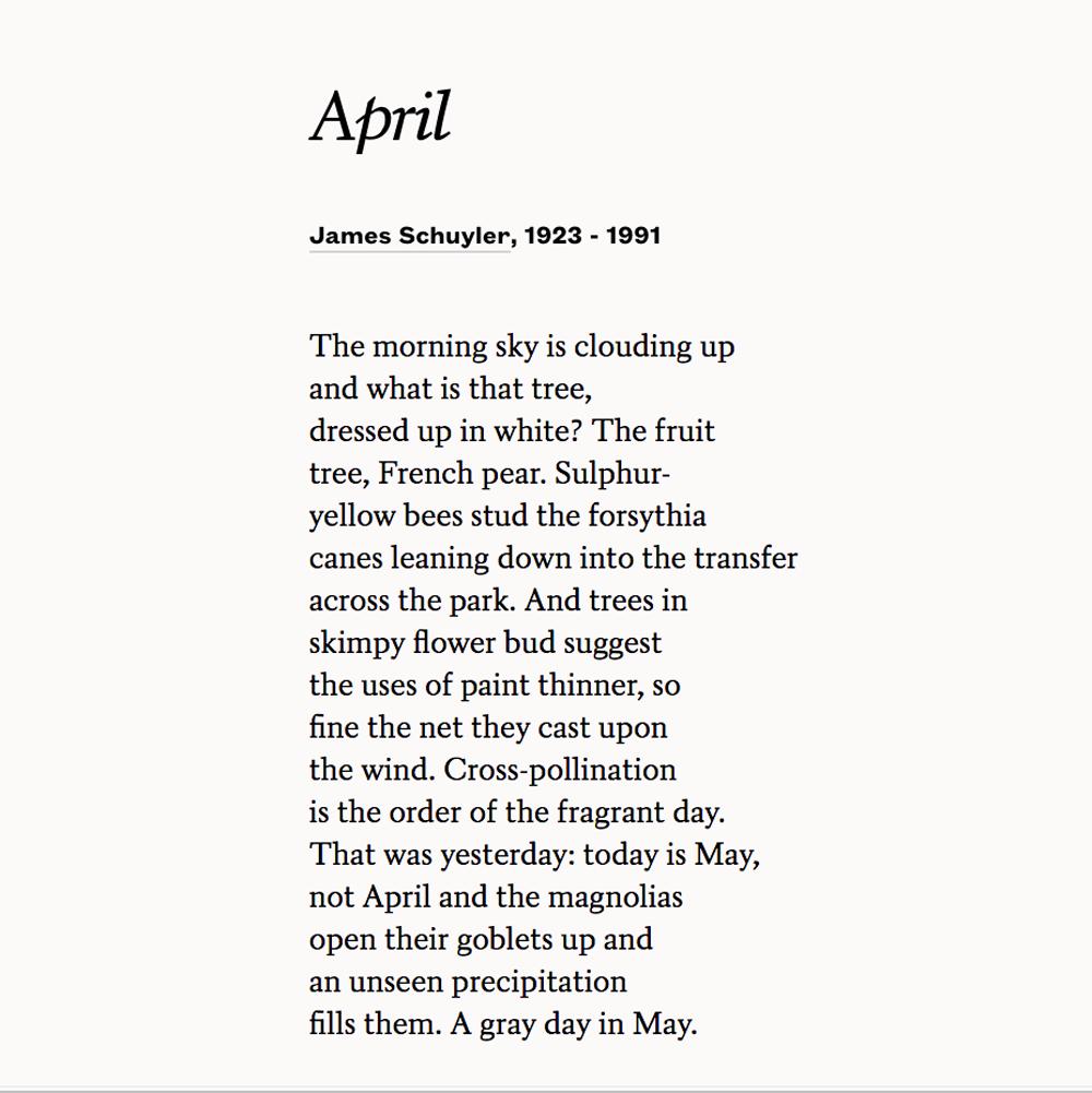 POETSorg's tweet photo. That was yesterday: today is May,
not April and the magnolias
open their goblets up 

—James Schuyler
#MayDay
https://t.co/qwSkX6Dz5E https://t.co/Lpg7gVtUHD