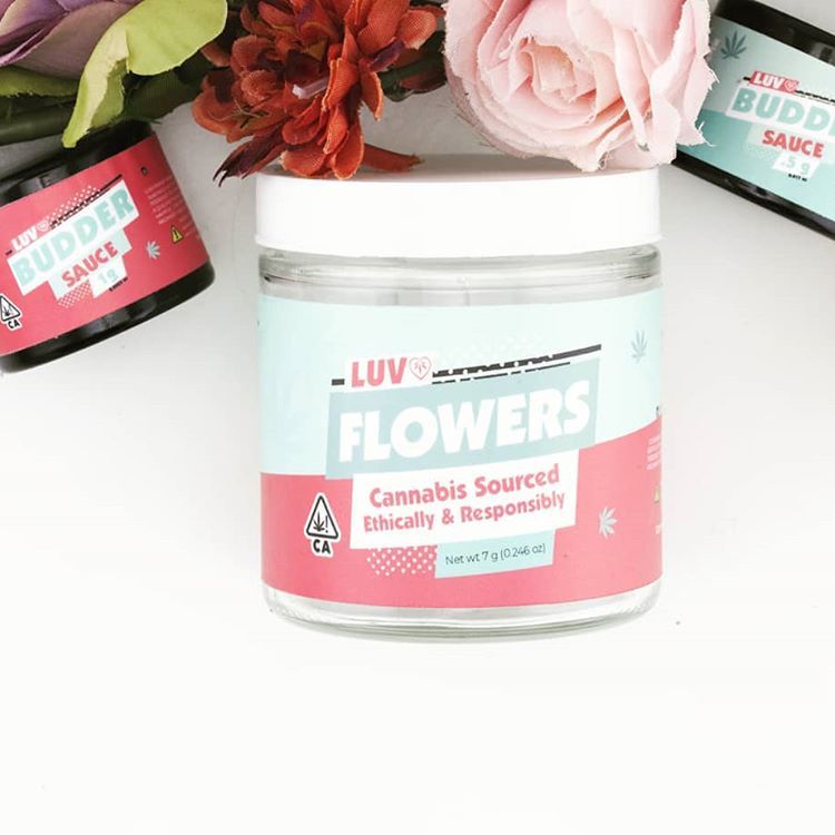 LUVDeliveries's tweet photo. Check out our official Luv Brand Flower grown with nothing but LUV!  Available in eighth and quarter coming soon here delivered directly to your door!
*
*
*
#luvdelivers #cannabisdelivered #weedstagram420 #cali420 #bayareastoners #sfcannabis https://t.co/OMnUV0Ydu1