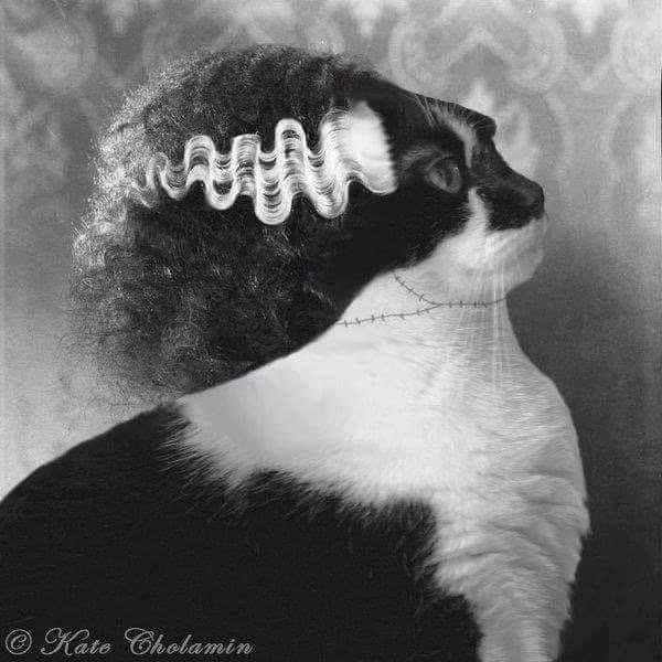 #perfection #purfection