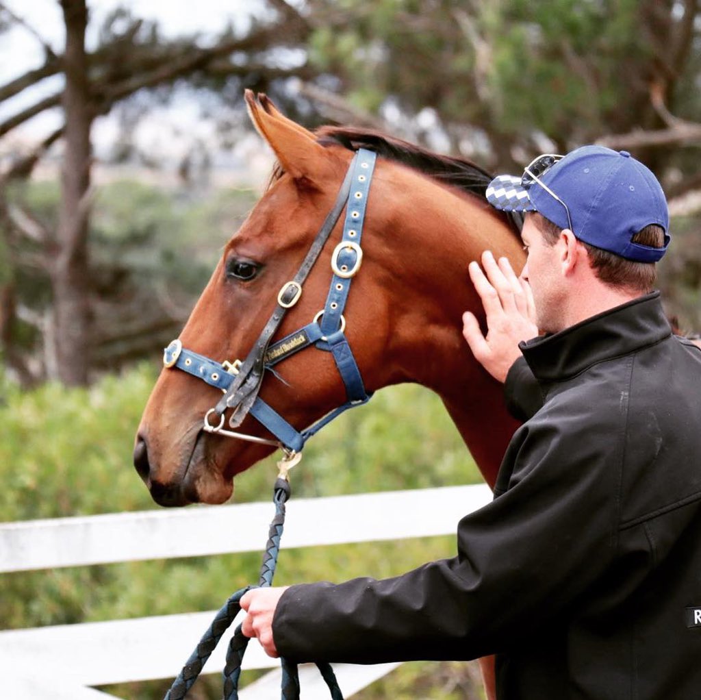 Levi_MKavRacing's tweet photo. #DeepField - Our Dreaming #kavanaghracing #yearlingparade @MarkKavanaghRac https://t.co/fsfYsCaU12