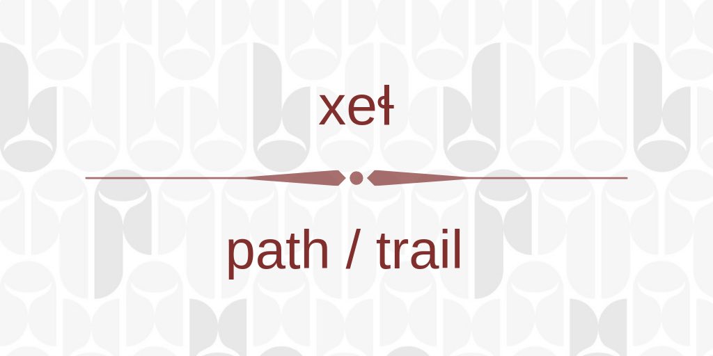Let #nature be your guide as you navigate the over 73 kilometers of urban trails that surround the leləḿ #development in Pacific Spirit Park. #hən̓q̓əmin̓əm̓ #language #Musqueam #lelemLiving