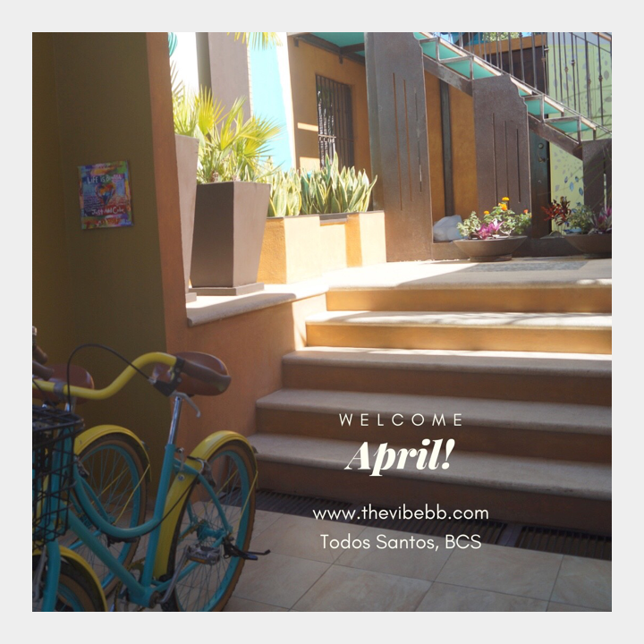 thevibebb's tweet photo. April is here ☀️ Accompanied by sun, fun and the best Vibe! 
https://t.co/z3OW6S7czP
.
.
.
#april #sun #fun #monday #todossantos #thevibe #bedandbreakfast https://t.co/QPwyigHoUv