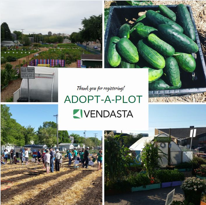 yxeFoodBank's tweet photo. We're excited to welcome @Vendasta back to the #GardenPatch this summer!
Their Adopt-A-Plot team name you ask? The CORNquer Local!
#SFBLC #gardening #urbanag #urbanagriculture #yxe #saskatoon https://t.co/6NCUbOEgJg
