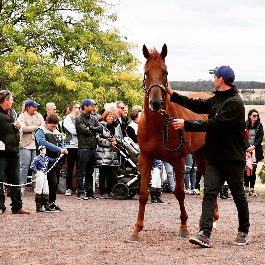 Levi_MKavRacing's tweet photo. #Eurozone - Fast and Loose π
Just to mix it up we paraded two @MarkKavanaghRac #readytorace horses #nearlysold #kavanaghracing #yearlingparade https://t.co/A6wM18D4TZ