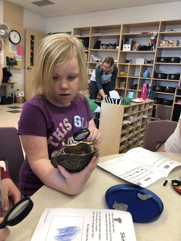 WoodvilleES's tweet image. #wolvesscience #wolvesmath thank you to staff and volunteers for providing Mrs. Wilson’s grade 1s this #experientiallearning @TLDSB