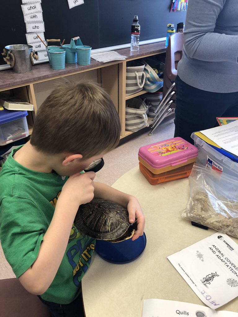WoodvilleES's tweet image. #wolvesscience #wolvesmath thank you to staff and volunteers for providing Mrs. Wilson’s grade 1s this #experientiallearning @TLDSB