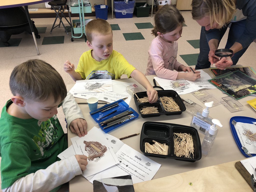 WoodvilleES's tweet image. #wolvesscience #wolvesmath thank you to staff and volunteers for providing Mrs. Wilson’s grade 1s this #experientiallearning @TLDSB