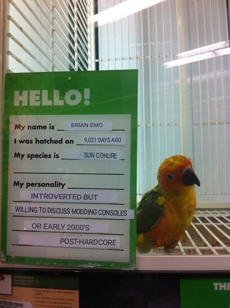 BirdsThoCo's tweet photo. https://t.co/FTO5xKpOv9