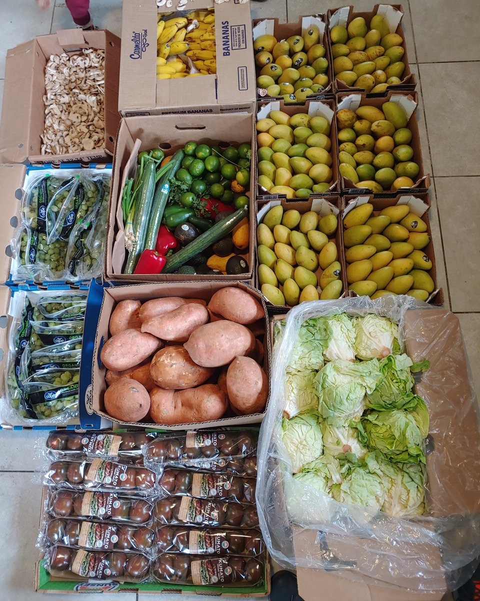 Epic food haul!
All of this for only $140
I eat to feel my best!
#Vegan #foodhaul #fruitthefuckup