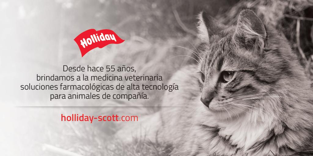 LabHolliday's tweet photo. Más de 70 productos creados para mejorar la calidad de vida de nuestras mascotas.
Los amamos como vos, los cuidamos como nadie.

#LabHolliday #Mascotas #Laboratorio #Veterinario #Pets #Vets #Productos #Cuidado #Amor #Animales #Medicina https://t.co/cT1jUyHuNv