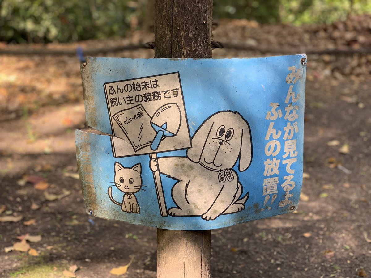 Saw this sign then went home and drew a sad dog-astronaut on my ipad. RIP Laika
??‍? ? 