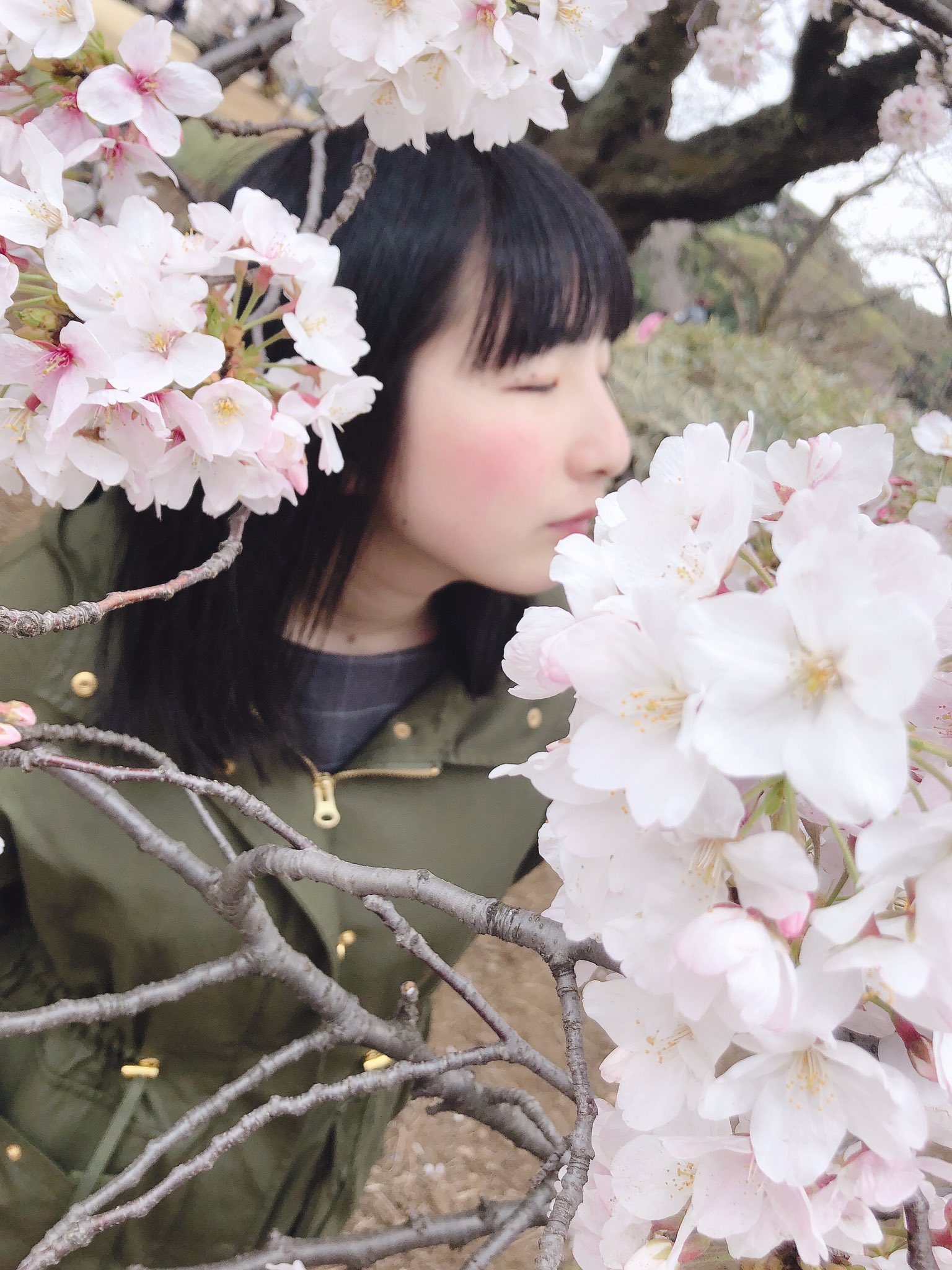 木 本 景 子 お花見 パート2 ハナニラという可愛いお花を見つけて撮っている所を撮られていました 笑 遠目に見るとちょっと怪しいですね 4枚目は 言の葉の庭 の雰囲気を アルコール類は持込み禁止なので ビールの代わりにりんごジュースです