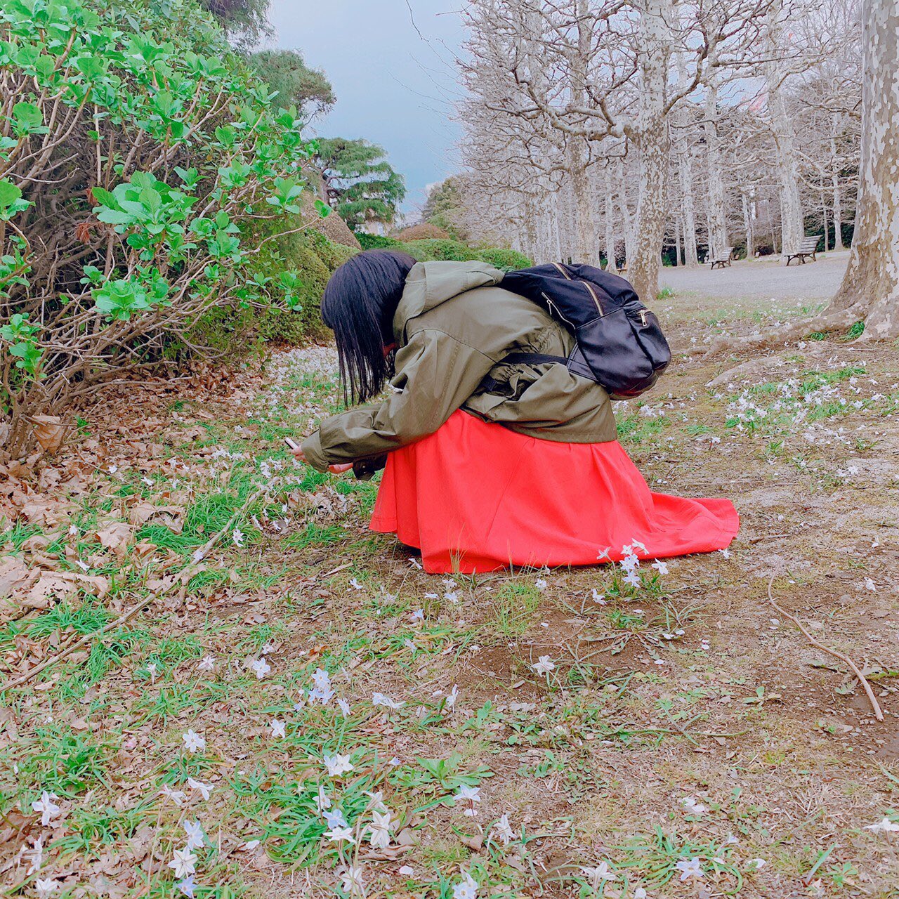 木 本 景 子 お花見 パート2 ハナニラという可愛いお花を見つけて撮っている所を撮られていました 笑 遠目に見るとちょっと怪しいですね 4枚目は 言の葉の庭 の雰囲気を アルコール類は持込み禁止なので ビールの代わりにりんごジュースです
