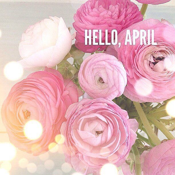 Novospa's tweet image. April already! Check out all our promotions this month 👉 novospa.ca
Don't forget you can now book all your services online 💻