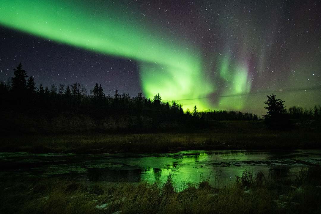 Observe the Milky Way from Wood Buffalo National Park in Alberta–the world’s largest #DarkSkyPreserve! Stretching almost 45,000 km2, this park is known for its incredible views of the Northern lights. 🌠 #InternationalDarkSkyWeek 📷pennycook_photography/IG