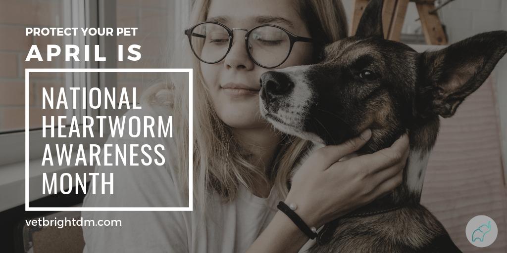 April is #nationalheartwormawarenessmonth! Take your #buddy into your #veterinarian and keep them safe with year-round prevention and annual tests! #veterinary #dog #pet #dogsoftwitter #veterinario #puppy #veterinaryclinic