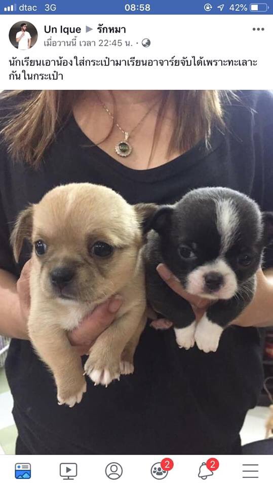 jjlinisgod's tweet image. หน้าน้องตัวดำคือยังไม่จบอ่ะ ยังบวกได้อีกยก 55555555555555555555555