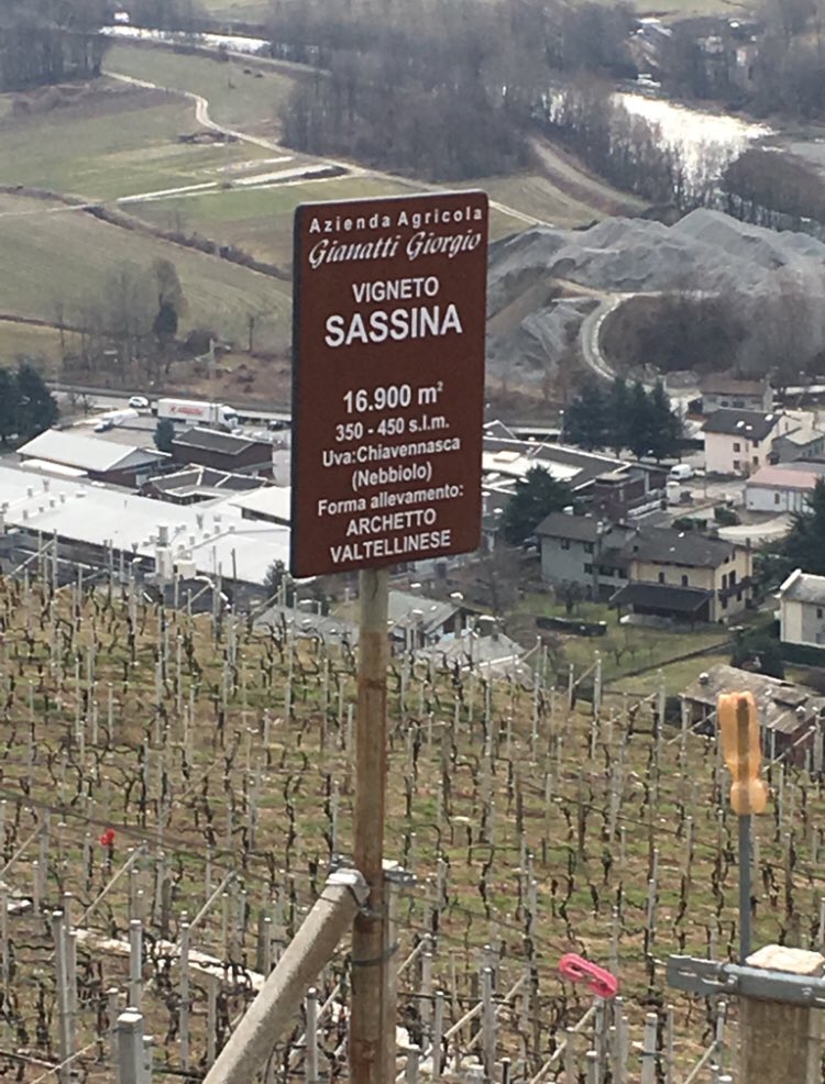 missaglia_sara's tweet photo. Vigneto Sassina, il cru di #giorgiogianatti: in Ais Pavia il 16 aprile con Giorgio Gianatti, Casimiro Maule e ⁦@cantinamenegola⁩ Vi aspettiamo https://t.co/tJj0dspAdu #aispavia ⁦@AisLombardia⁩ ⁦@AISMilano⁩ ⁦@eleyoun⁩ #ilovemyvalley #valtellinaproudtobe https://t.co/SjP8tIyFus