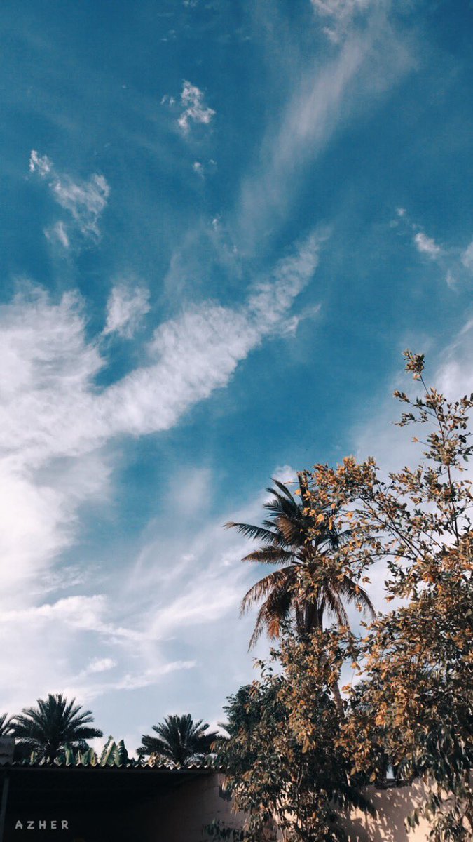 ⠀⠀

   اللّهم صَبآح ؛ يَحتوﻱ لُطفك ورِضاك'📨💙.
⠀⠀