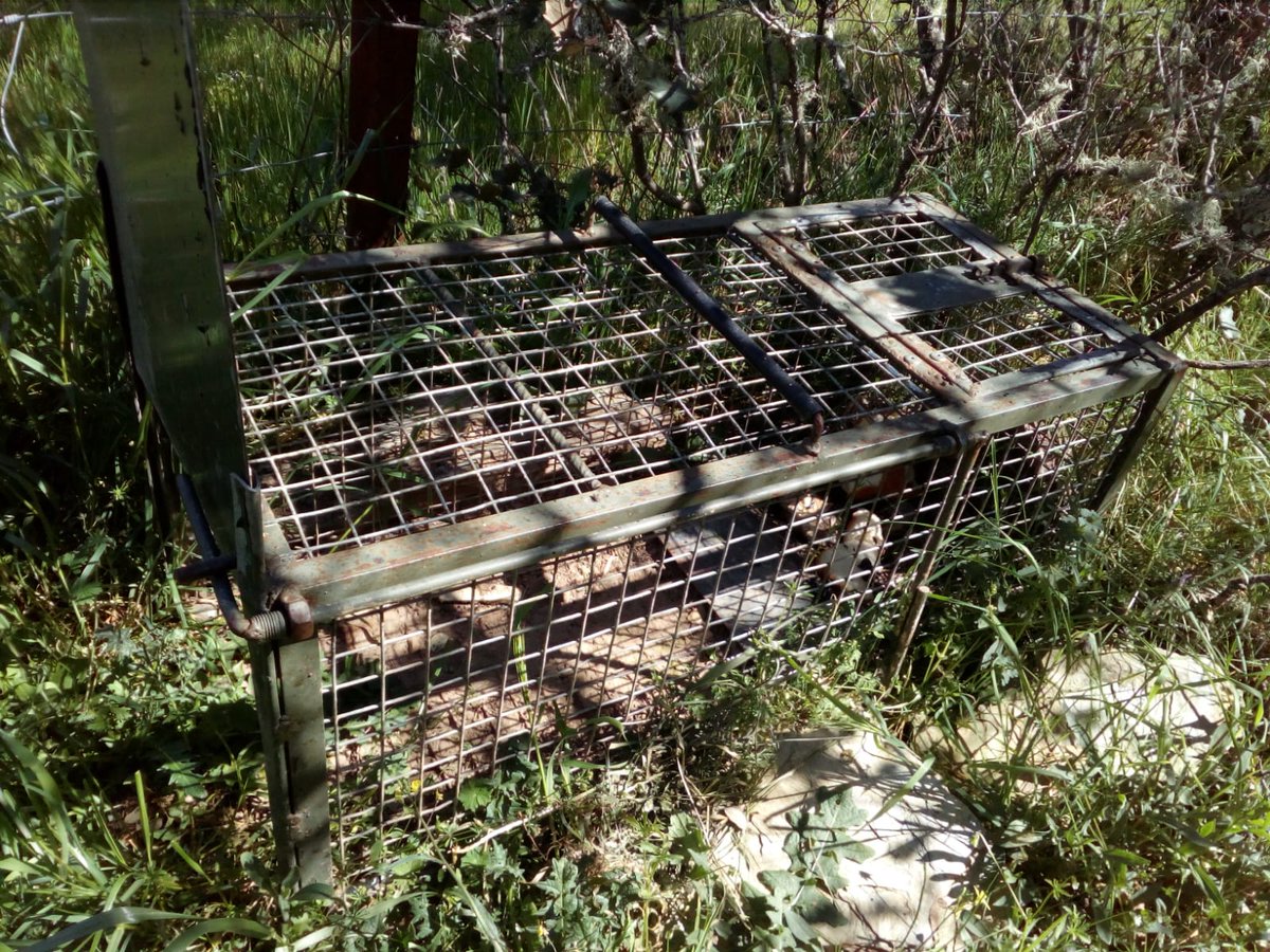 UGT Agentes Medio Natural Extremadura tweet media