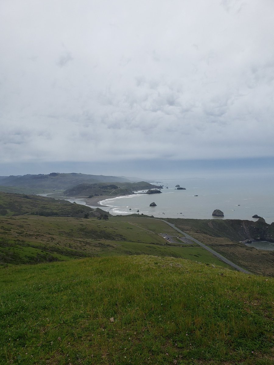 Furrtastic10's tweet photo. #outforahike #jennercalifornia #NorCal https://t.co/C1D74MGy3I