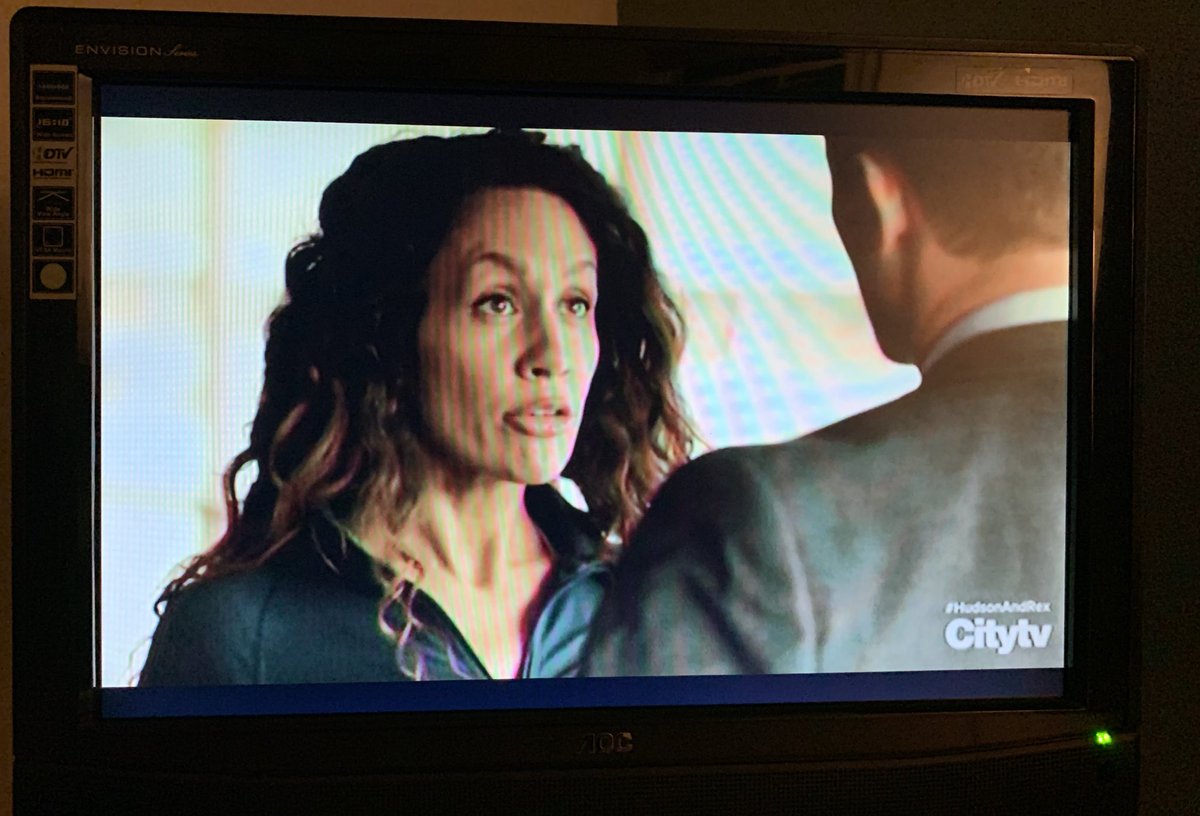 mckeownsherry's tweet photo. Watching an amazing human on Hudson and Rex tonight. Great to see your face all the way here in Bermuda @TheRealSamora #hudsonandrex #bringlizzieback #lizziewestwood #citytv https://t.co/nk46MQVUAK