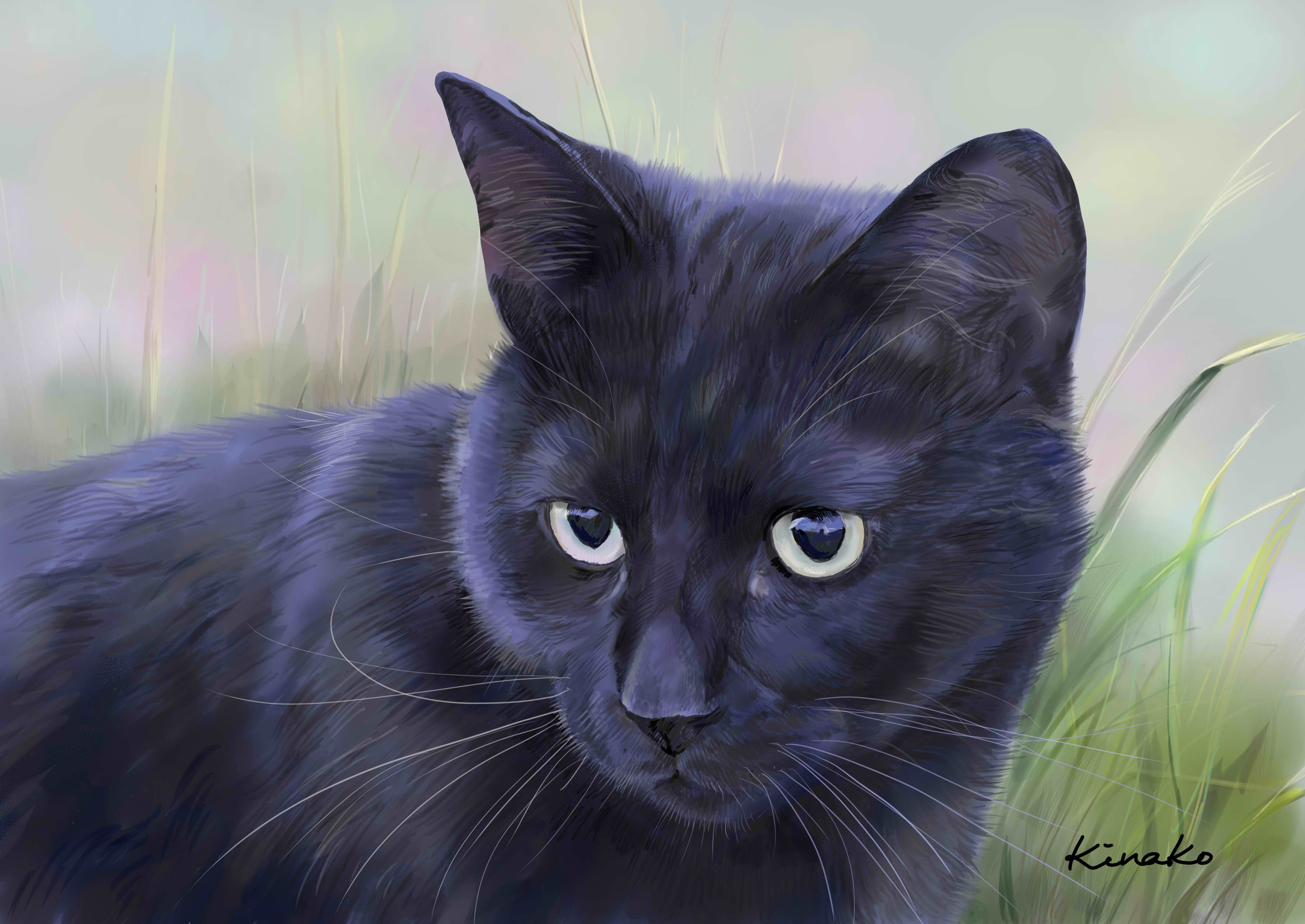 きなこ(猫の絵を描いています） on X: 