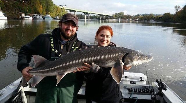 NWFISHINGNEWS's tweet photo. Columbia River John Day Pool to close for sturgeon retention https://t.co/oWVWMck9JP https://t.co/oH5DUorAPk