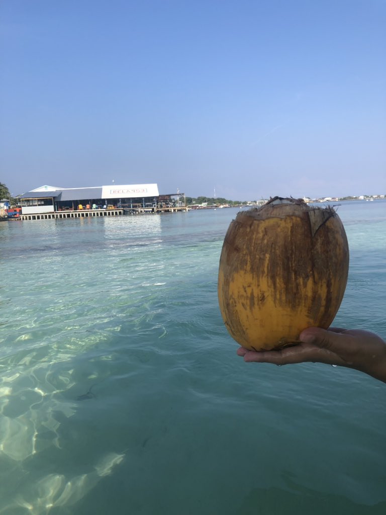 amy_battese's tweet photo. Reduce single use plastic - coconut water anyone?
#naturesown #bottledatthesource https://t.co/i7NAVLqX20