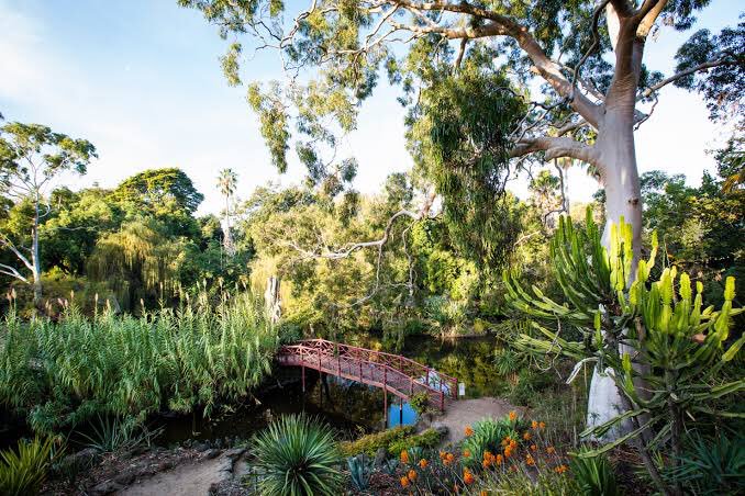 felixexplody's tweet photo. Our horticulture team at the National Trust cares for some of Victoria’s most significant gardens. With almost no government funding, we need your help to look after them. Donate now at https://t.co/KULQusZc0s #BeAHeroForHeritage https://t.co/i3usxoGucB