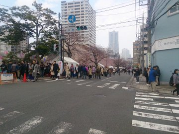 大岡川桜祭り22 屋台の出店や混雑状況は 桜の見頃 開花情報 Tasso