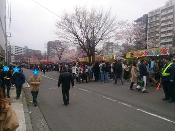 大岡川桜祭り22 屋台の出店や混雑状況は 桜の見頃 開花情報 Tasso