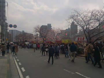 大岡川桜祭り22 屋台の出店や混雑状況は 桜の見頃 開花情報 Tasso