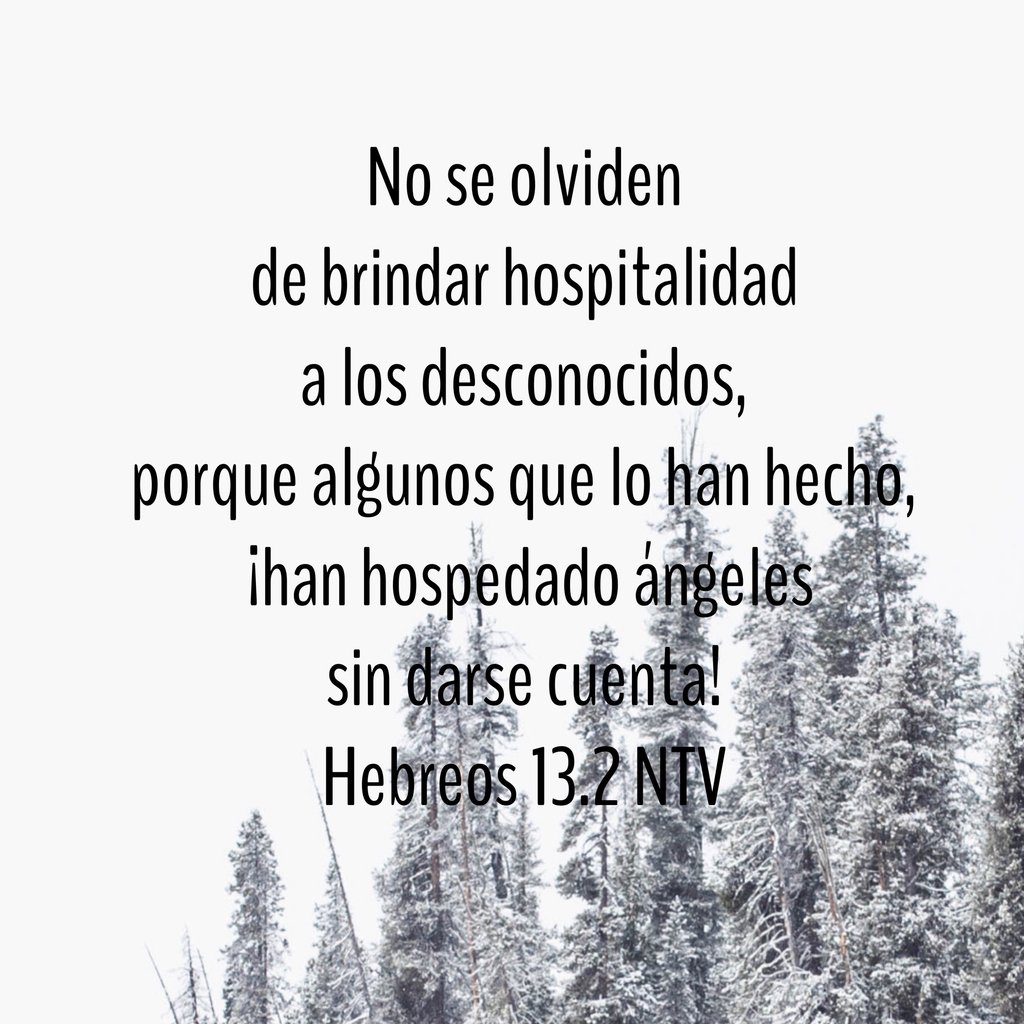 BibliaNTV's tweet image. ¿Hay visitas en su iglesia con quienes pudiera compartir una comida? ¿Conoce personas solteras que disfrutarían pasar una tarde conversando? #hospitalidadcristiana #llamadodeDios #diariovivir #bibliadeestudio #reflexiones #palabradeDios #bibliantv