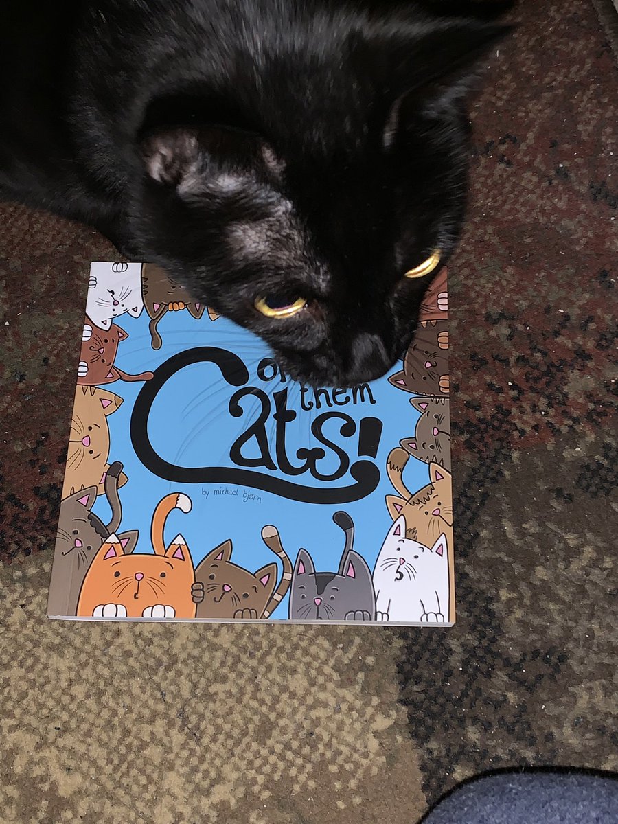 Gothamkitty21's tweet photo. Dad got me a book, well I guess he got a book since I can’t read. It came all the way from Denmark and helps support kitties. #ohhthemcats https://t.co/nqtoqIFUwE
