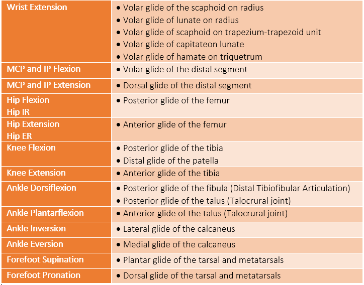 Talocrural Joint Mobilization Anterior Glide