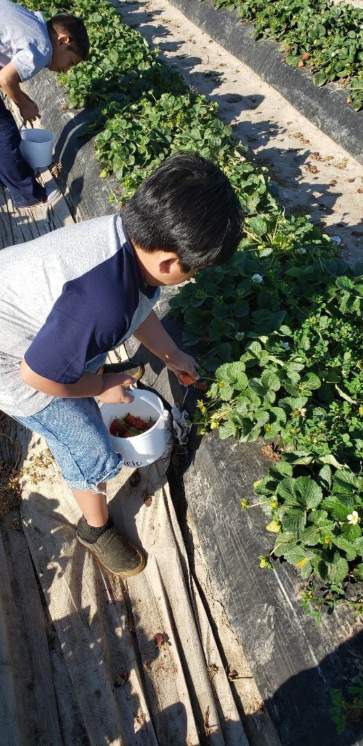 CoombsClass's tweet image. Memories were made at Froberg’s last week! @CoombsClass @DukeElem