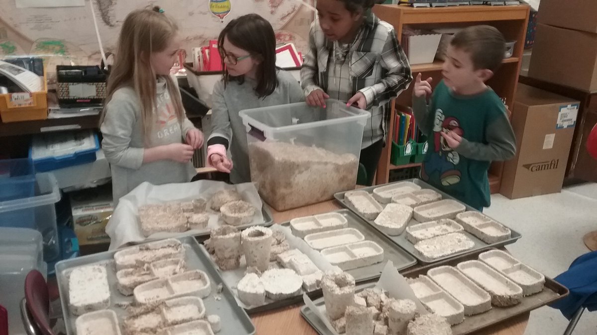 CreositySpace's tweet photo. Team 3 Paradis checking out &amp; discussing what worked/didn't w/ their #MushroomMaestros desk organizers, planters &amp; #mycelium creations. #ngss #elementary #innovation @grow_bio Make your #classroom a #CreositySpace https://t.co/u3kcNUPWPf https://t.co/QNfBLLZ8SN