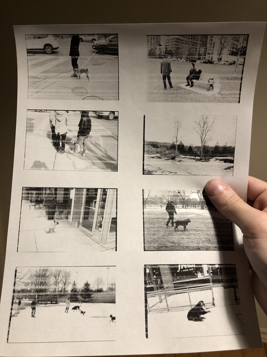 DmitryKoup's tweet photo. Had and idea to make a book of “all” my dog pictures. First step would be printing them all and making a layout.
Laser print think my ink is running out.
Crazy idea?
#photobookidea #dogs #StreetPhotography https://t.co/7Q7wZiNgOw