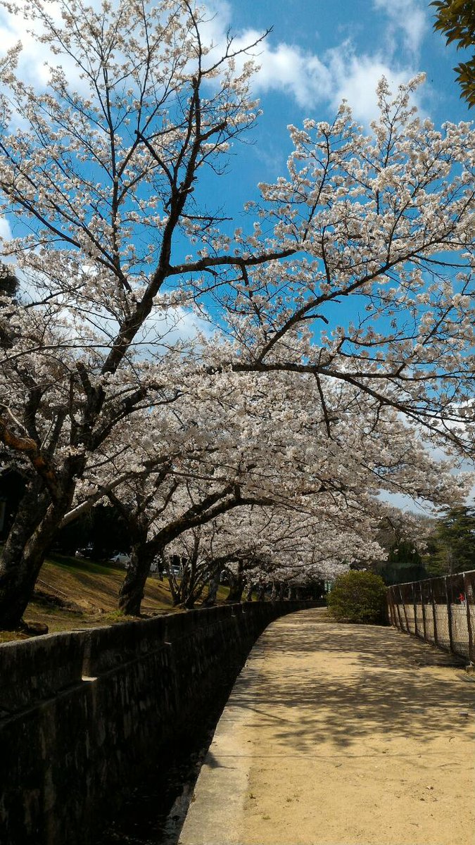 岡山護国神社