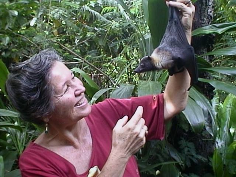 TheEBLProject's tweet photo. Dr. Margie Falanruw is our first of #30earthmonthheroes. Born and raised in Guam, she is a world-reknown scientist as well as a champion for environmental conservation and cultural preservation. Fun fact: Also a tight-rope walker and trapeze artist. https://t.co/1Kg4OGJLYO