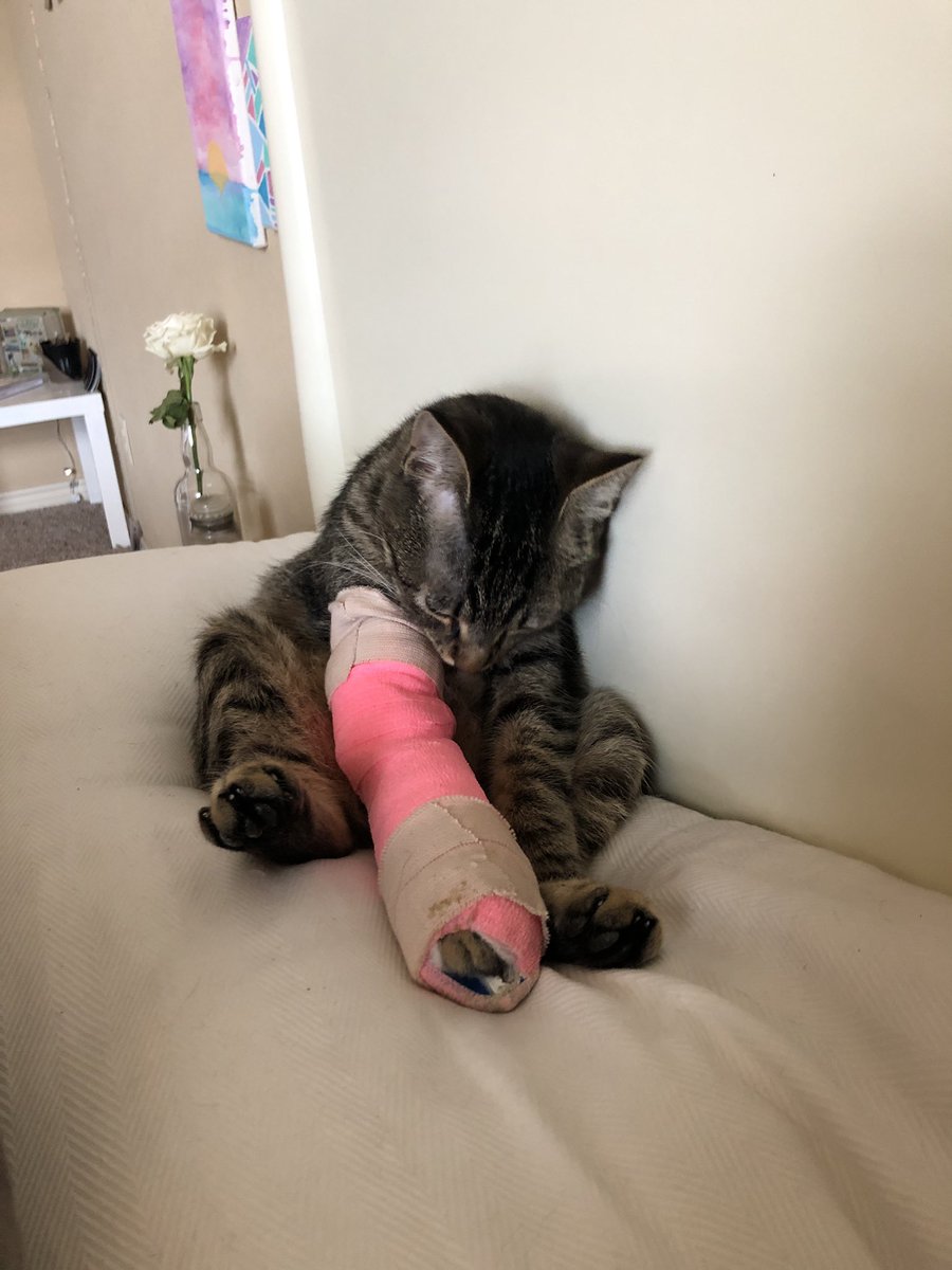 morganryleigh's tweet photo. i think she’s embarrassed https://t.co/UoImpYgN9F