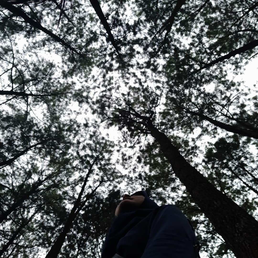 Bahagia itu ketika kita bisa menyatu dengan alam dan menikmati keindahannya..
.
.
by : @ridharianty1212  
wisatabukitbaros.co.id
Info : (0255)6244335 / (021)8580515