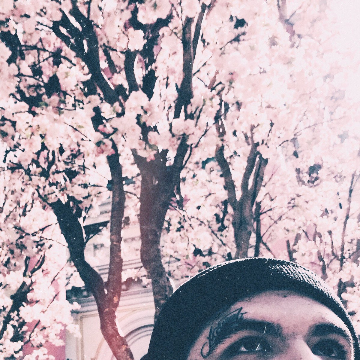 syxsyxsyx's tweet photo. doing all the things you said i couldn’t. doing all the things i know i shouldn’t.. https://t.co/uNsP59zEGK