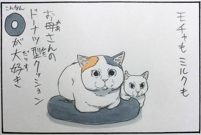 『ドーナツブーム』 #拾い猫のモチャ 