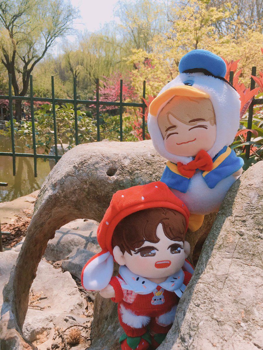 planet3423's tweet photo. Finally they met.😬

#noren #젠런 #nctdoll https://t.co/YaDw942CYk