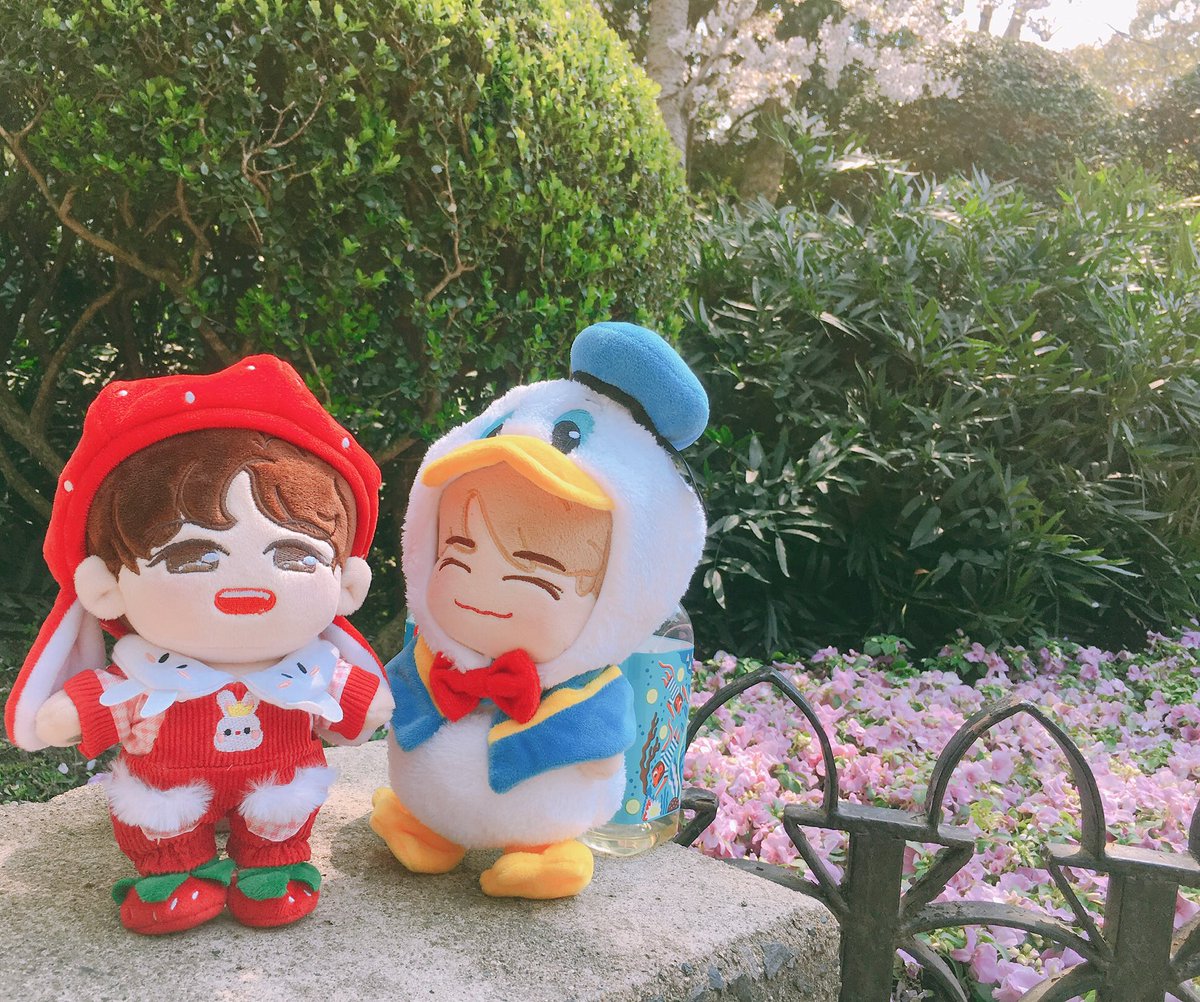 planet3423's tweet photo. Finally they met.😬

#noren #젠런 #nctdoll https://t.co/YaDw942CYk