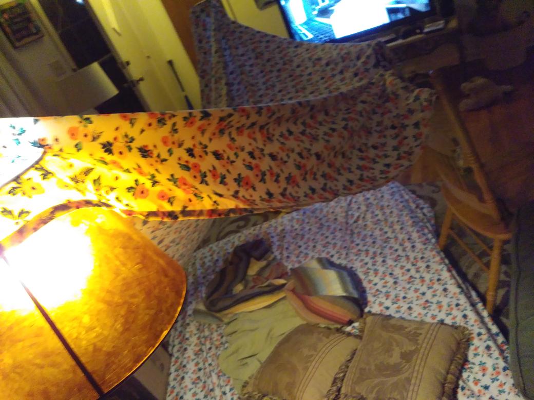 adelitadlg's tweet photo. Here's the start of our fort. #Fortsarecool https://t.co/zcziwByrCL