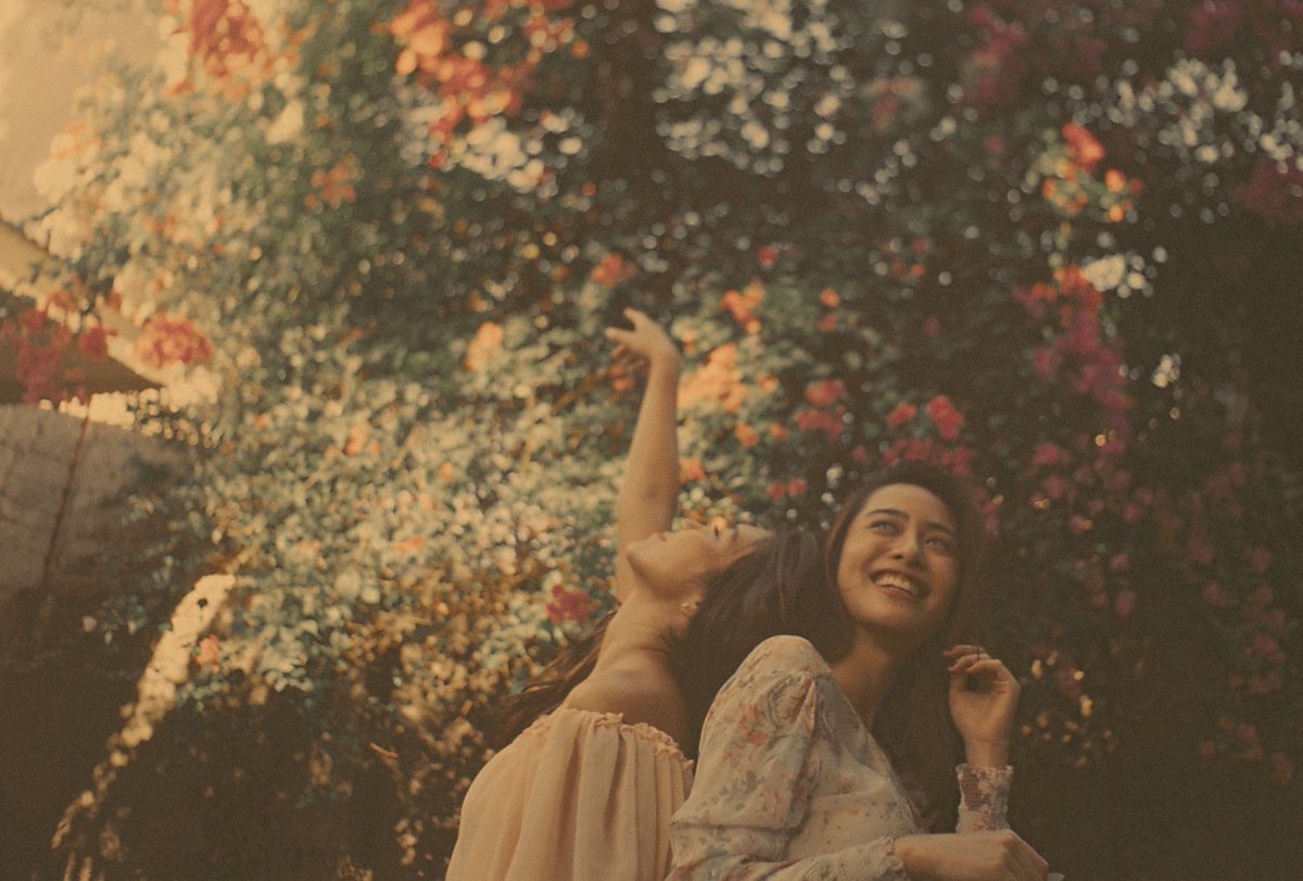 🌸🌸🌸