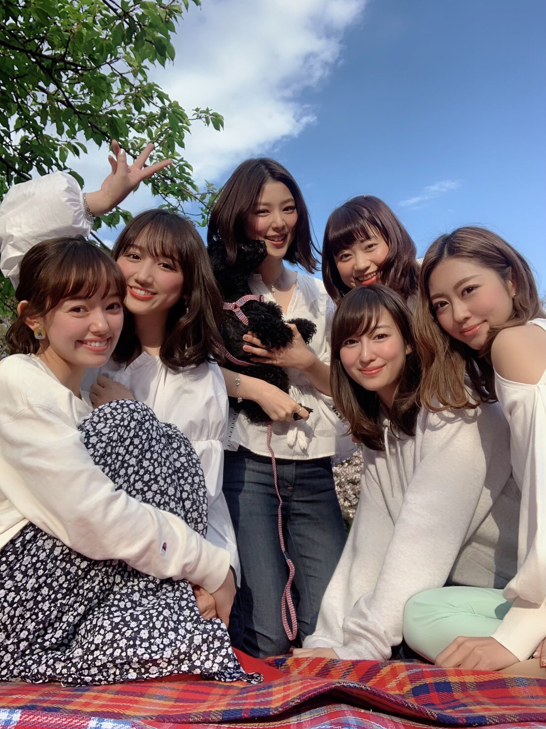 ラブベリーナ 